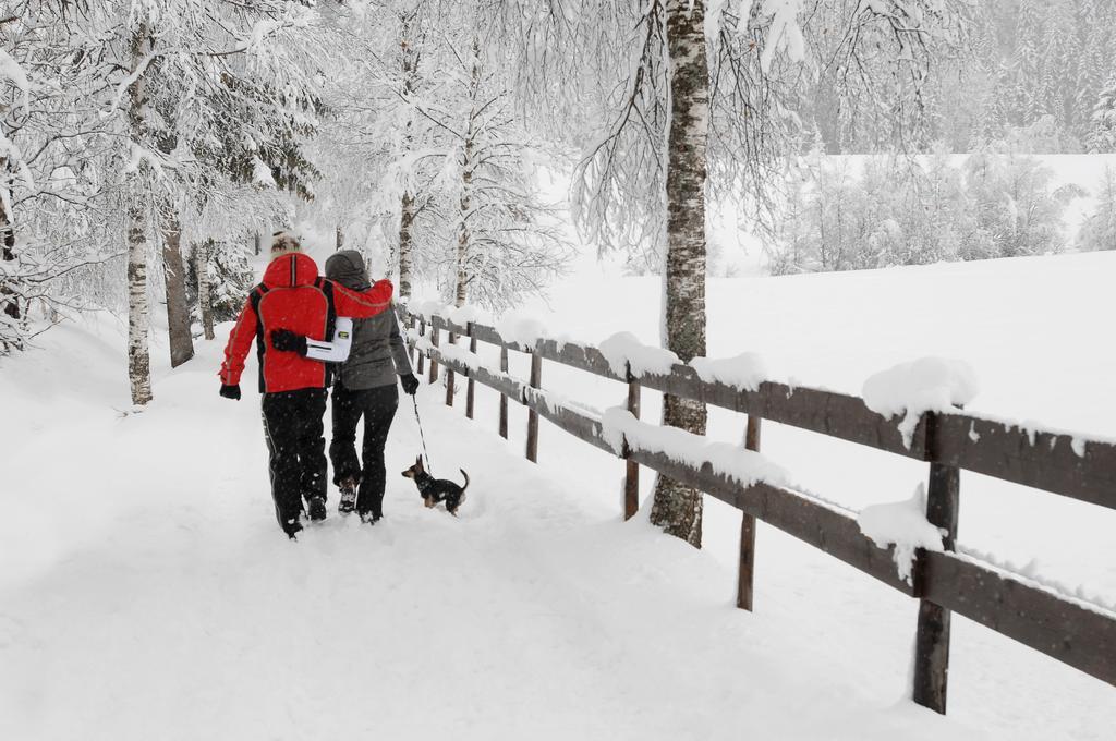 Pension Oberbraeu Mittersill Esterno foto